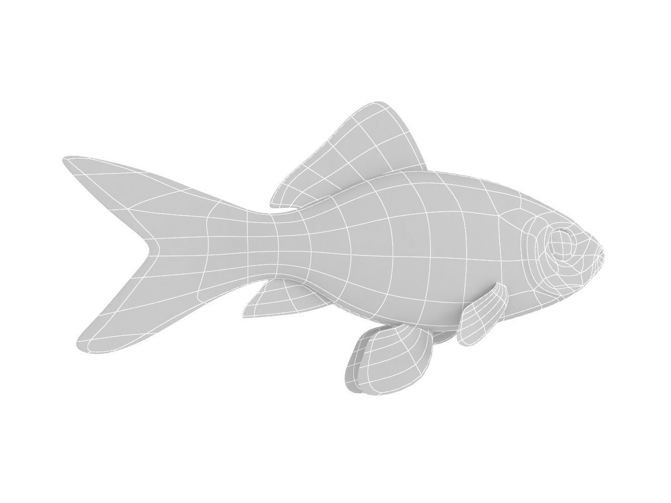 Goldfish 3D model_8