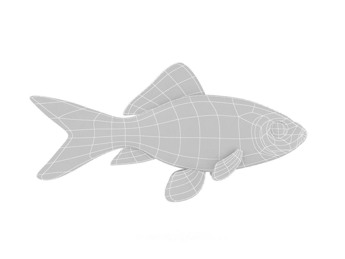 Goldfish 3D model_5