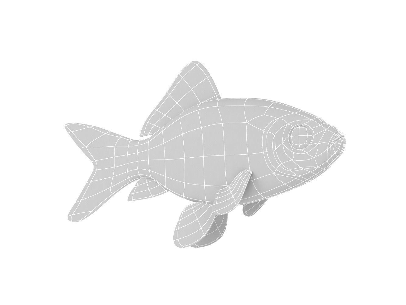 Goldfish 3D model_9