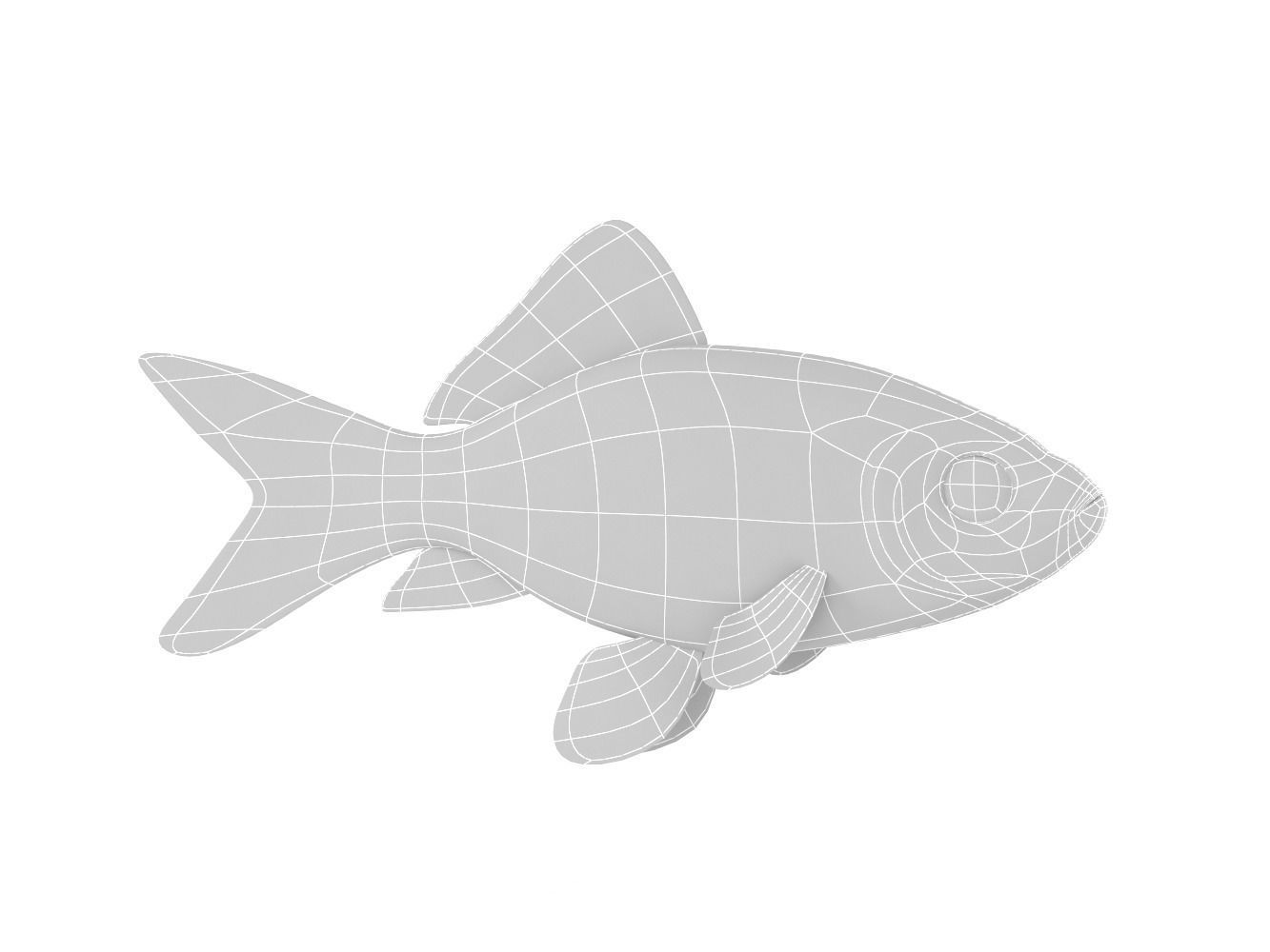 Goldfish 3D model_6