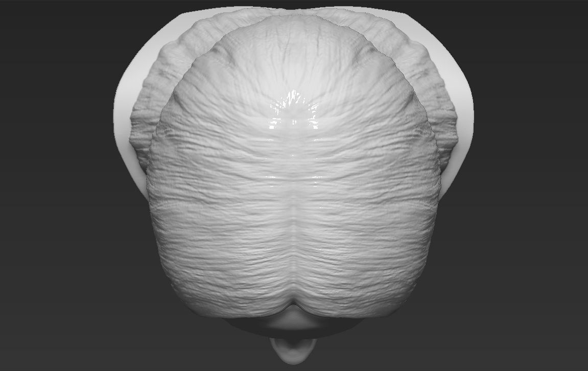 Billie Eilish bust 3D printing ready stl obj formats  3D print model_16