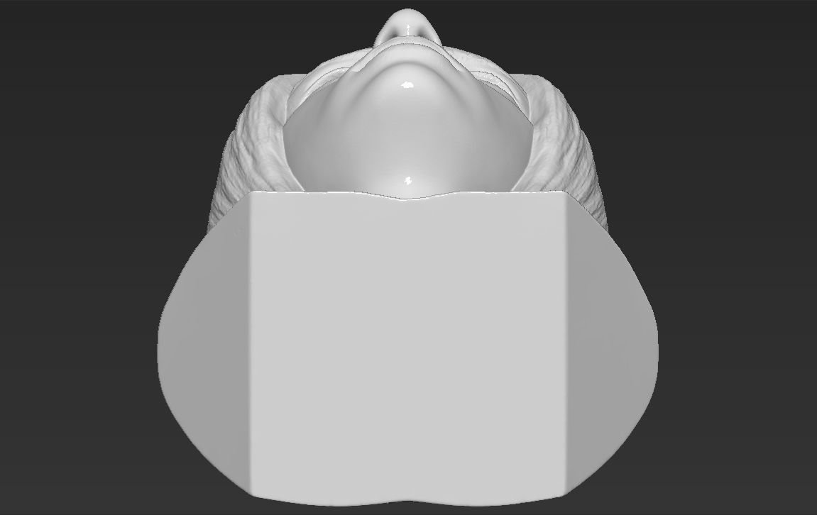 Billie Eilish bust 3D printing ready stl obj formats  3D print model_25