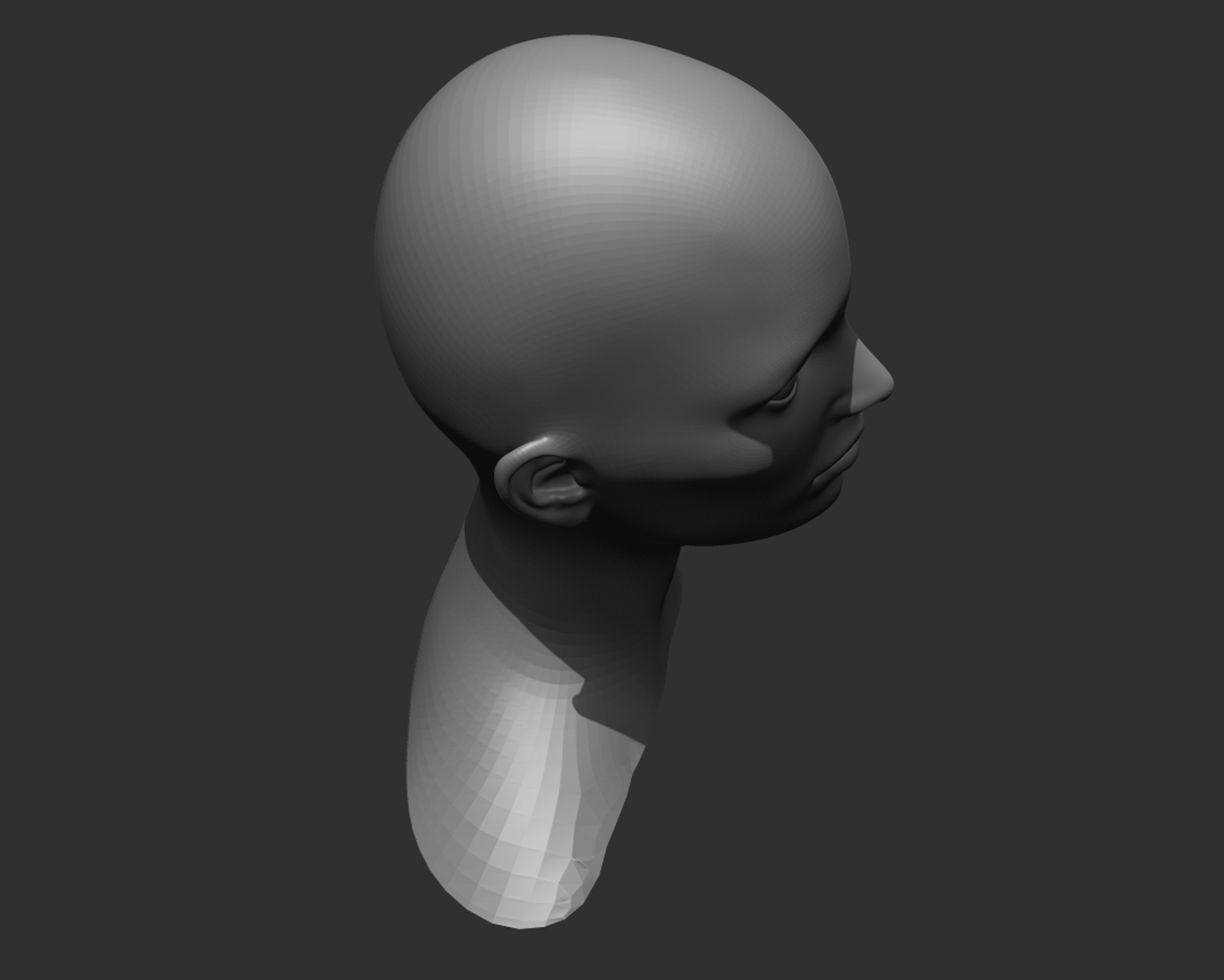 Female Head Realistic Base Mesh 3D Model 3D model_10