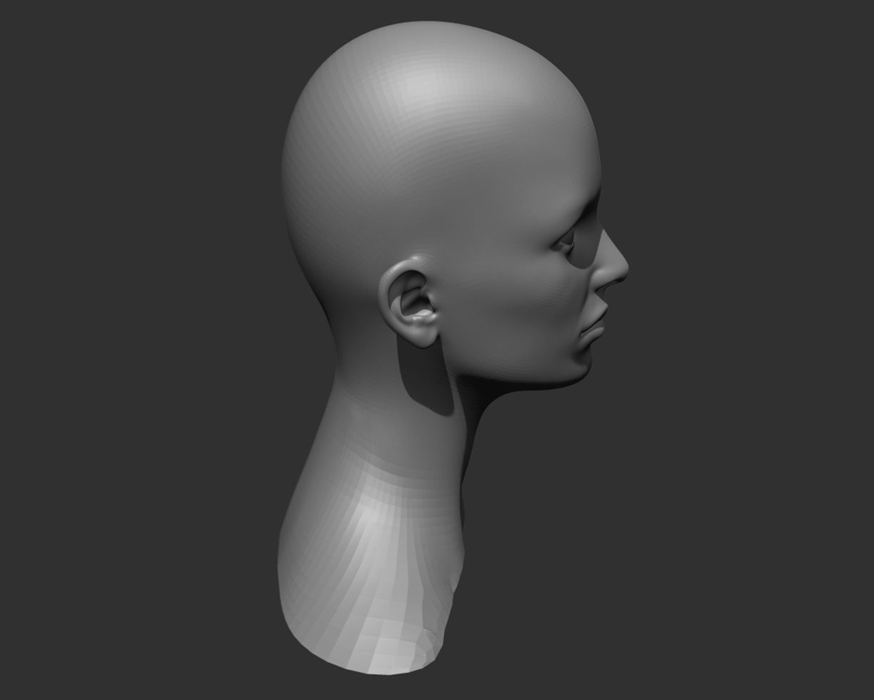 Female Head Realistic Base Mesh 3D Model 3D model_5