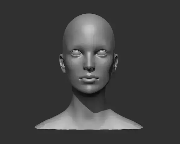 Female Head Realistic Base Mesh 3D Model 3D model Female Head Realistic Base Mesh 3D Model 3D model