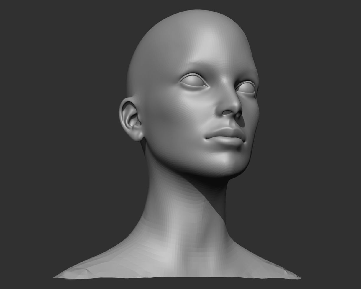 Female Head Realistic Base Mesh 3D Model 3D model_16