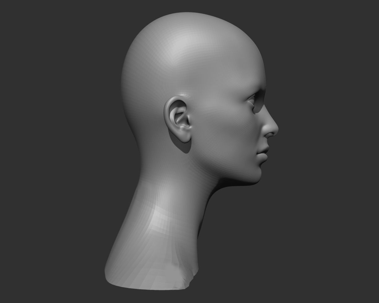 Female Head Realistic Base Mesh 3D Model 3D model_3
