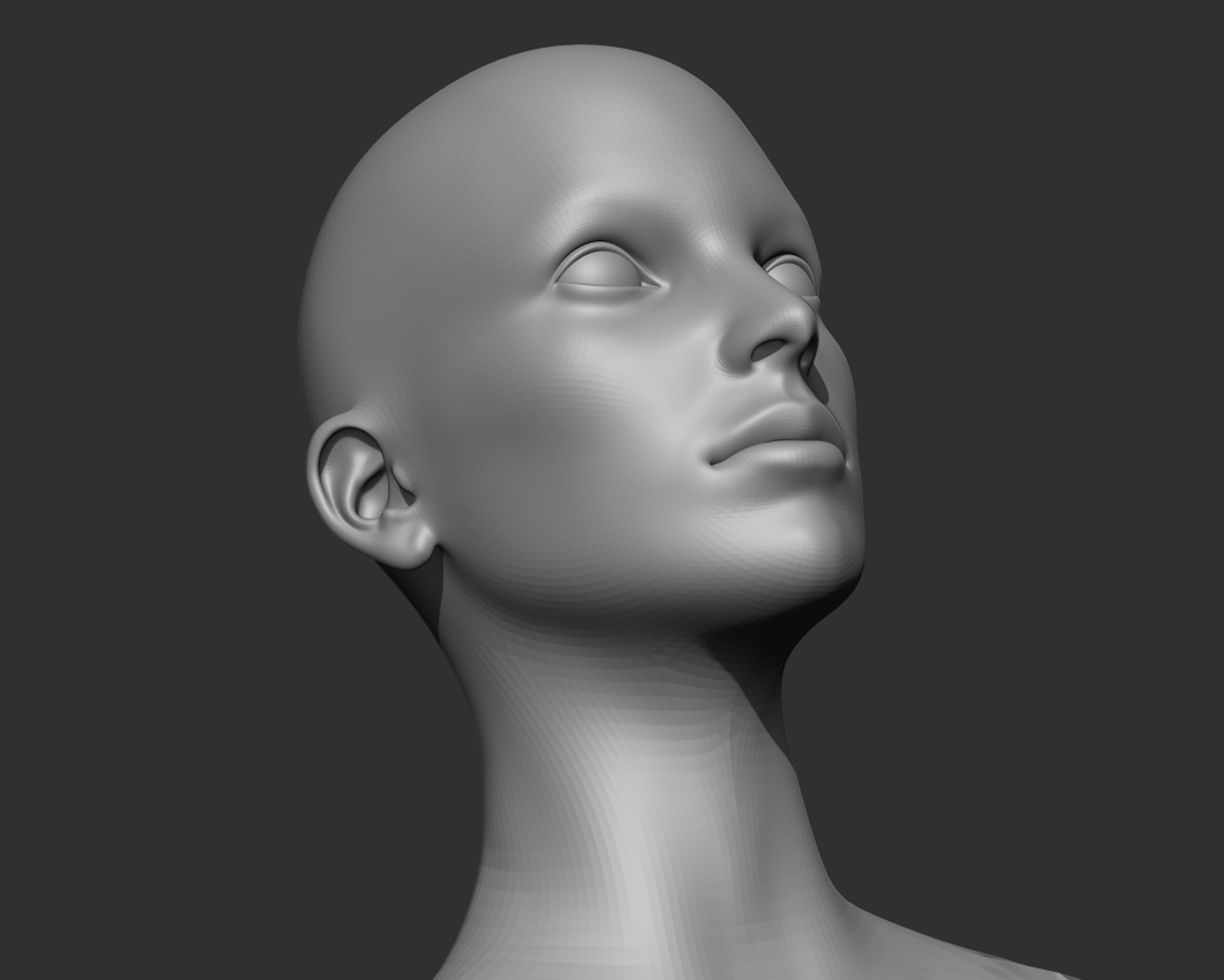 Female Head Realistic Base Mesh 3D Model 3D model_8