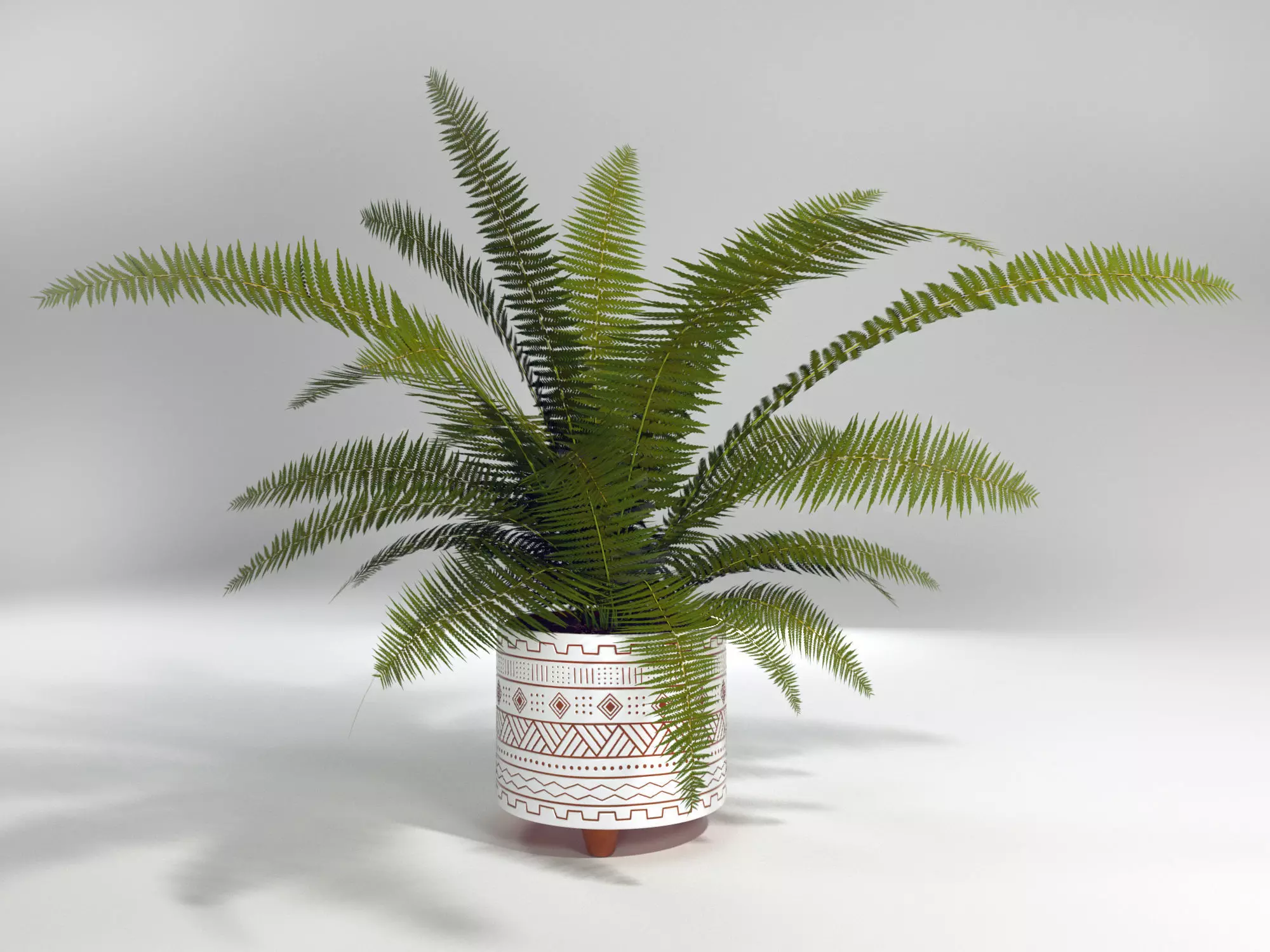 Fern Plant 3D Model 3D model_0