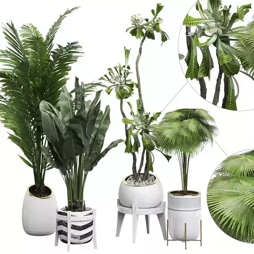 Potted plants Set 15