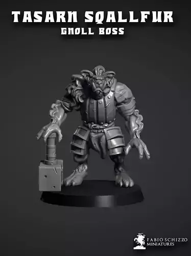 Tasarn squallfur 3D print model