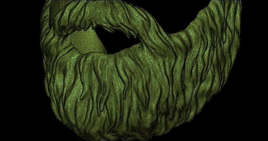 Beard 3D model_9