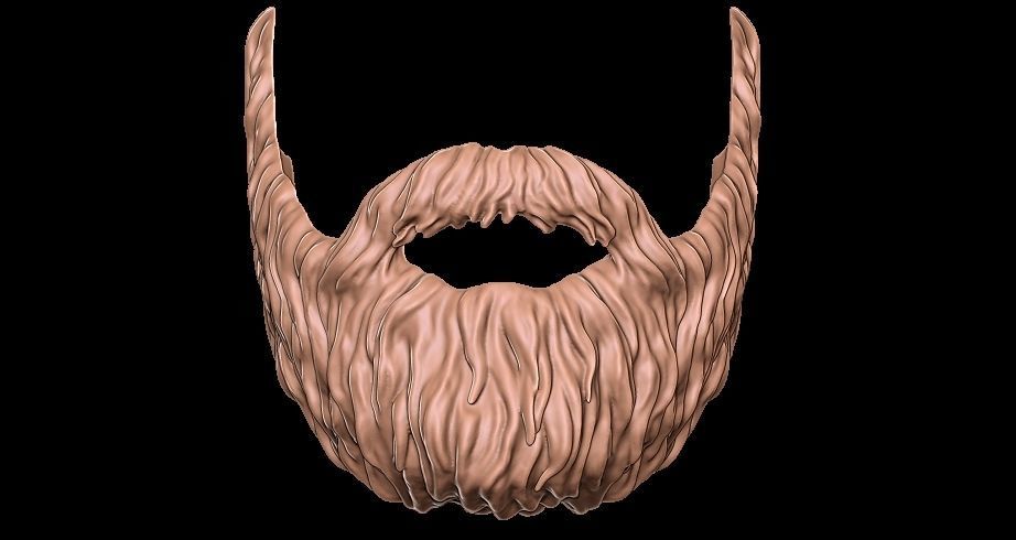 Beard 3D model_1
