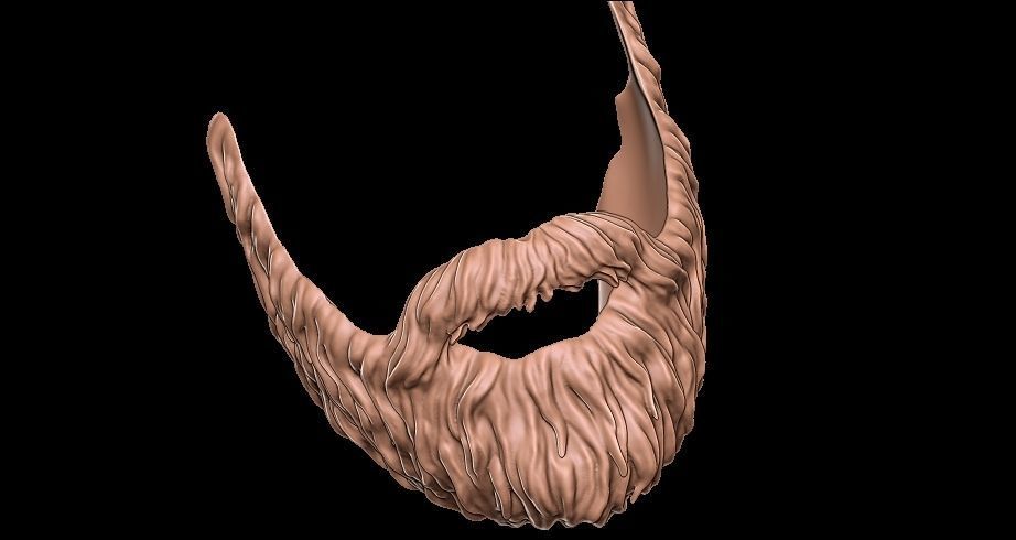 Beard 3D model_3