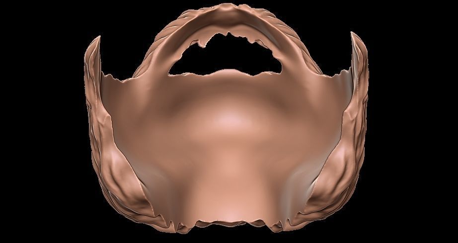 Beard 3D model_4