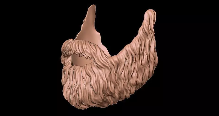 Beard 3D model_0