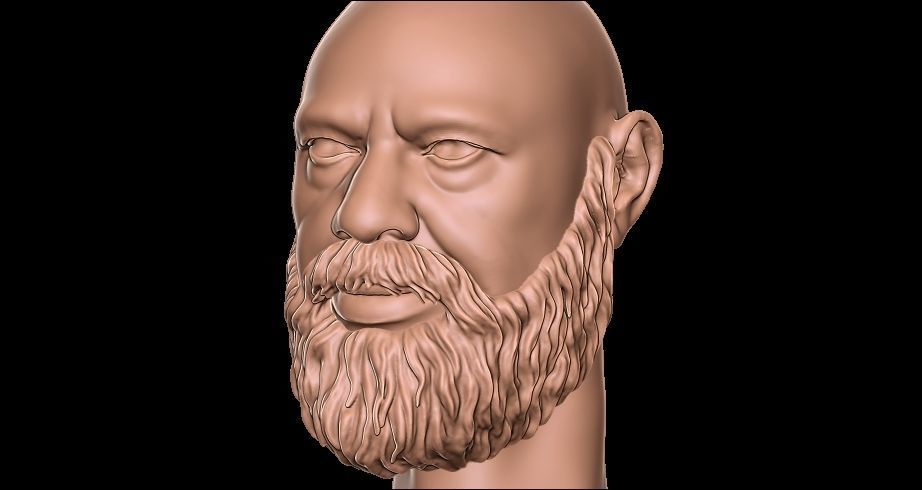 Beard 3D model_5