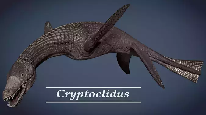 Cryptoclidus Pack Low-poly 3D model