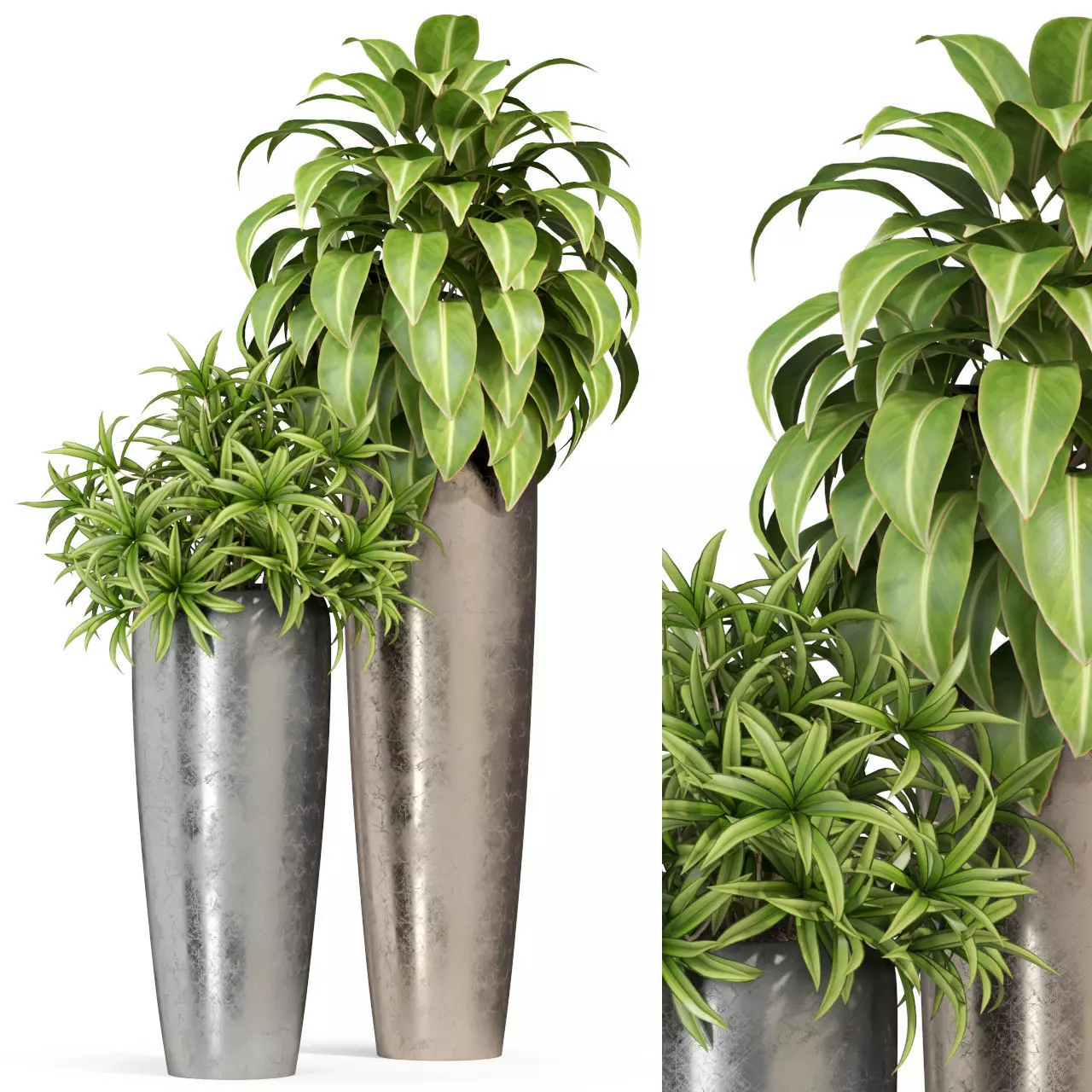 Plants collection 283 Fleurami ROYAL 3D model