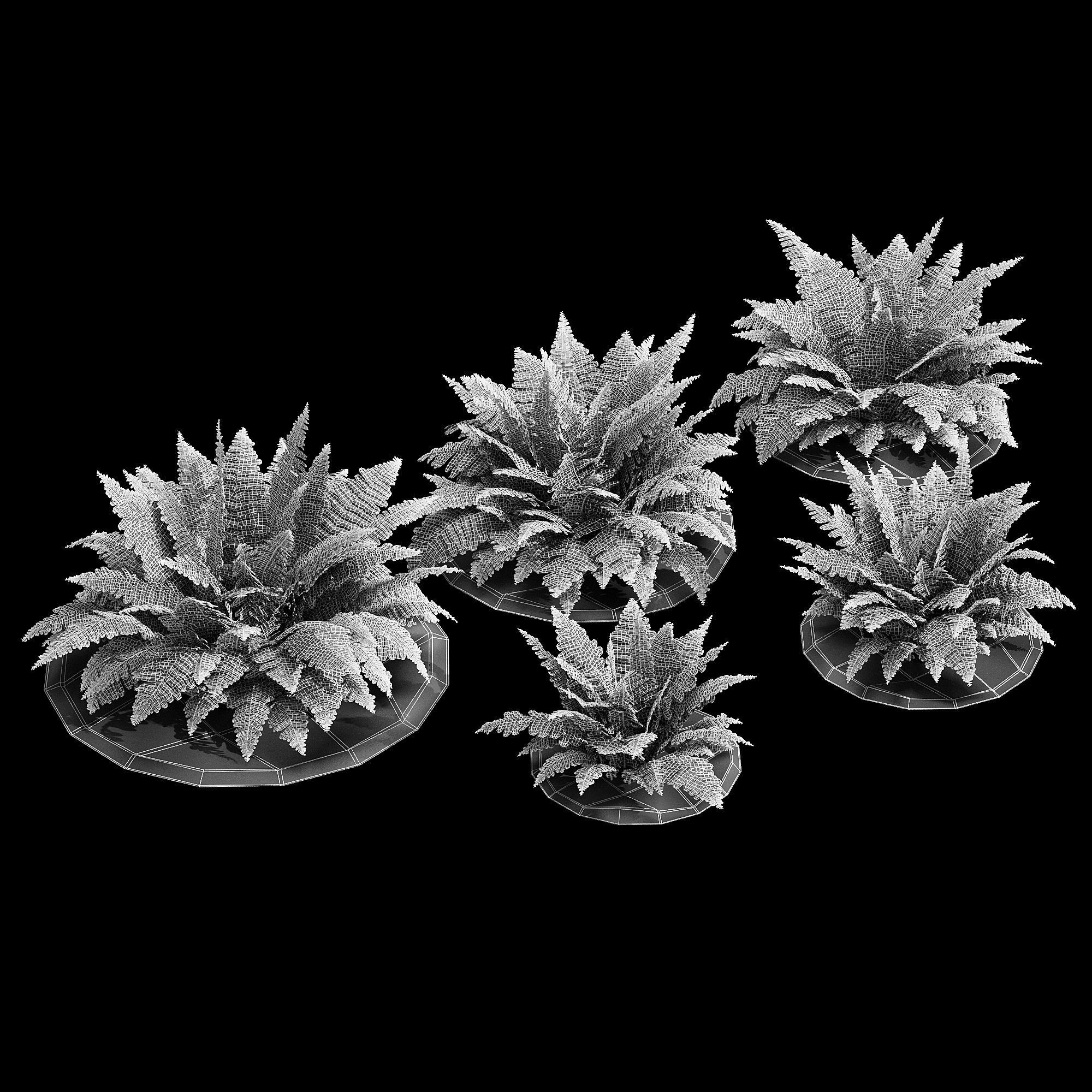 Fern bush 3D model_7