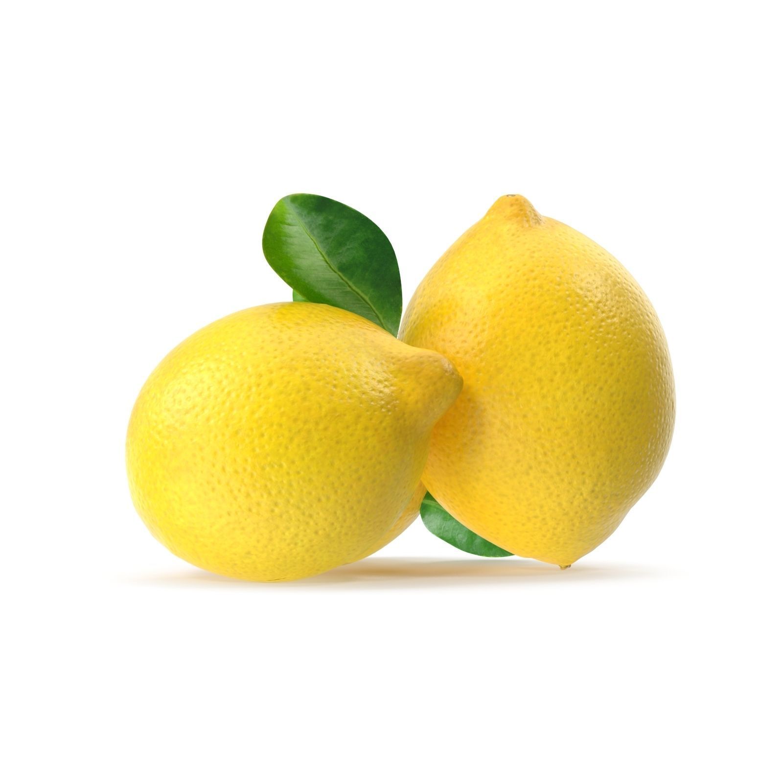 Lemon three lemons 3D model_6
