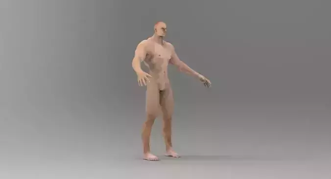 human male body
