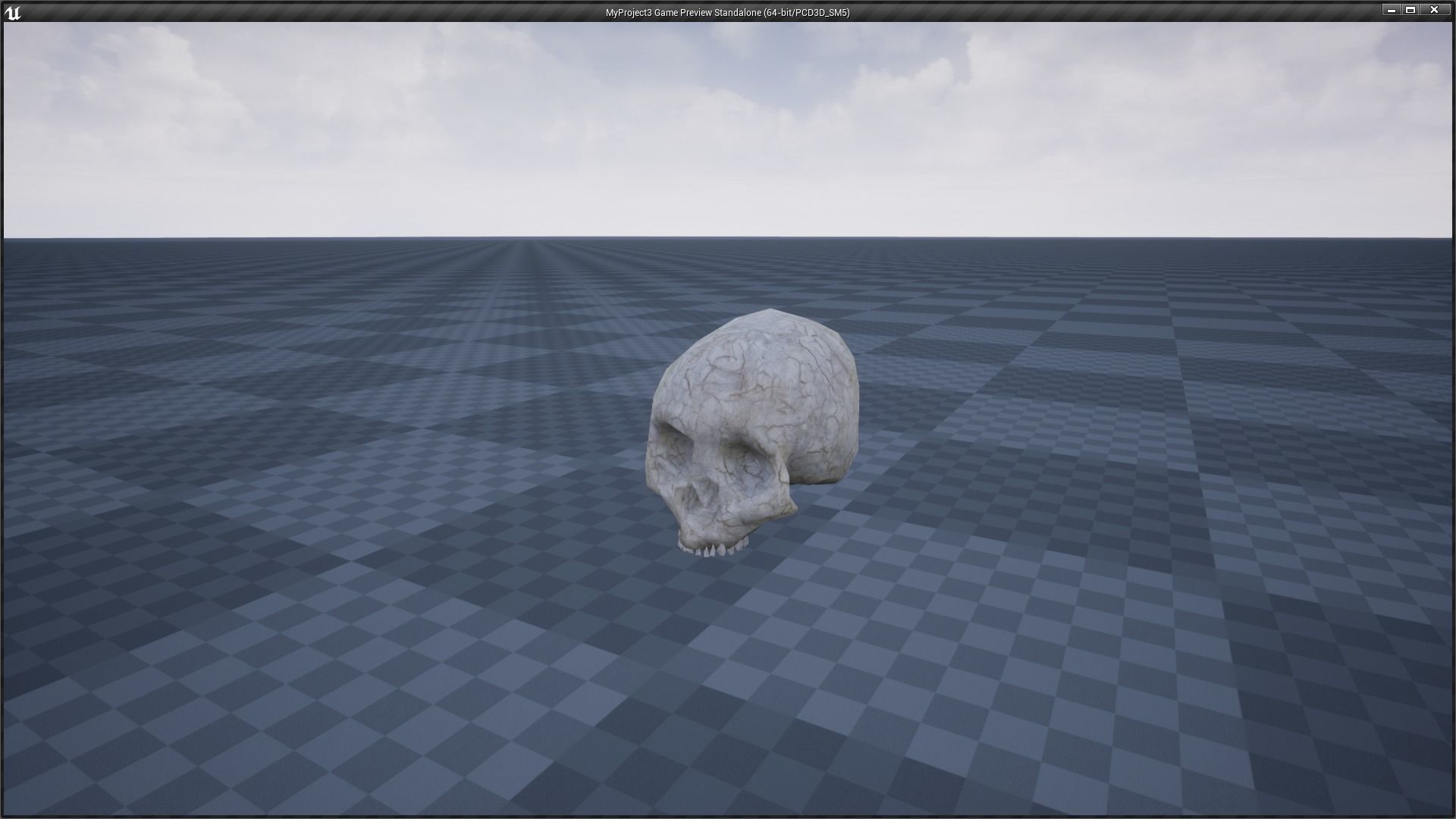 Skeleton and Skull Collection _21