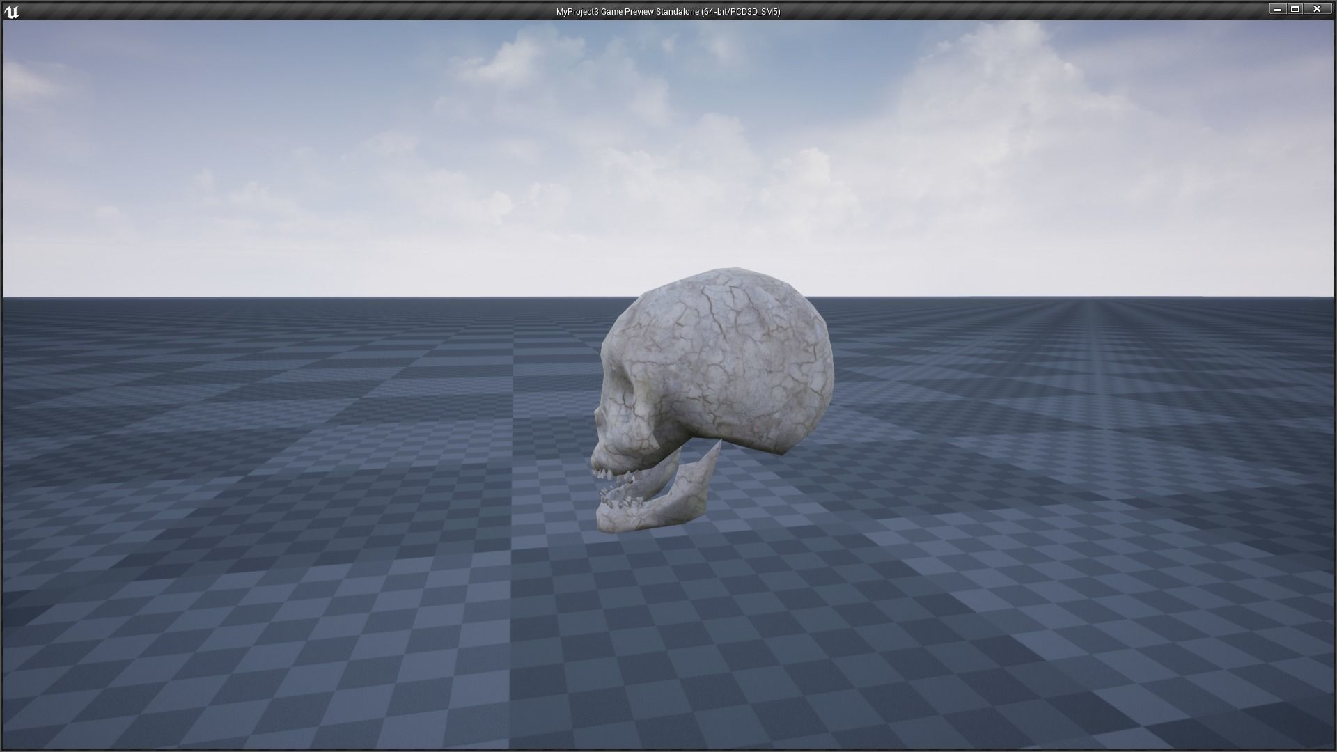 Skeleton and Skull Collection _19