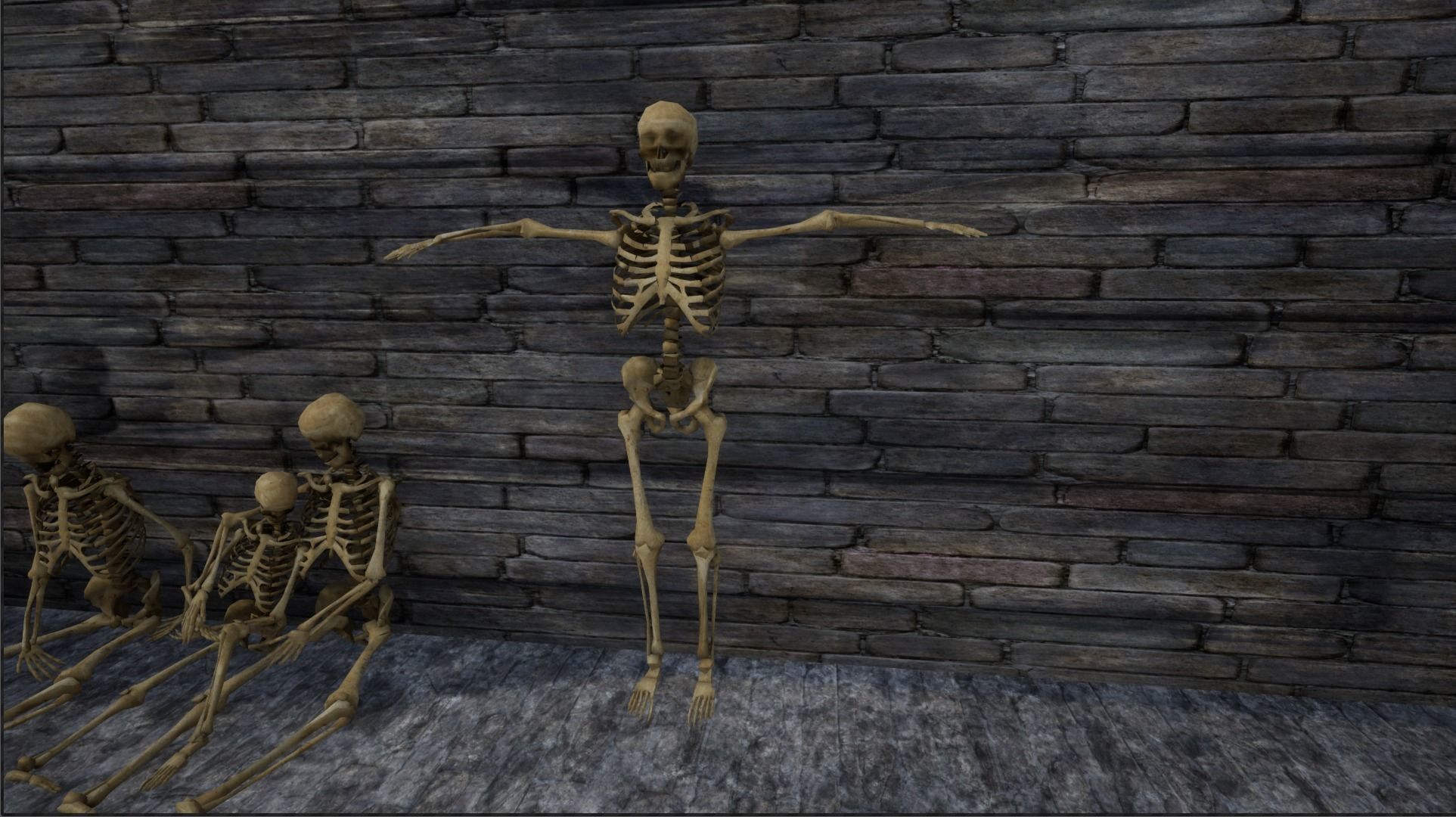 Skeleton and Skull Collection _14