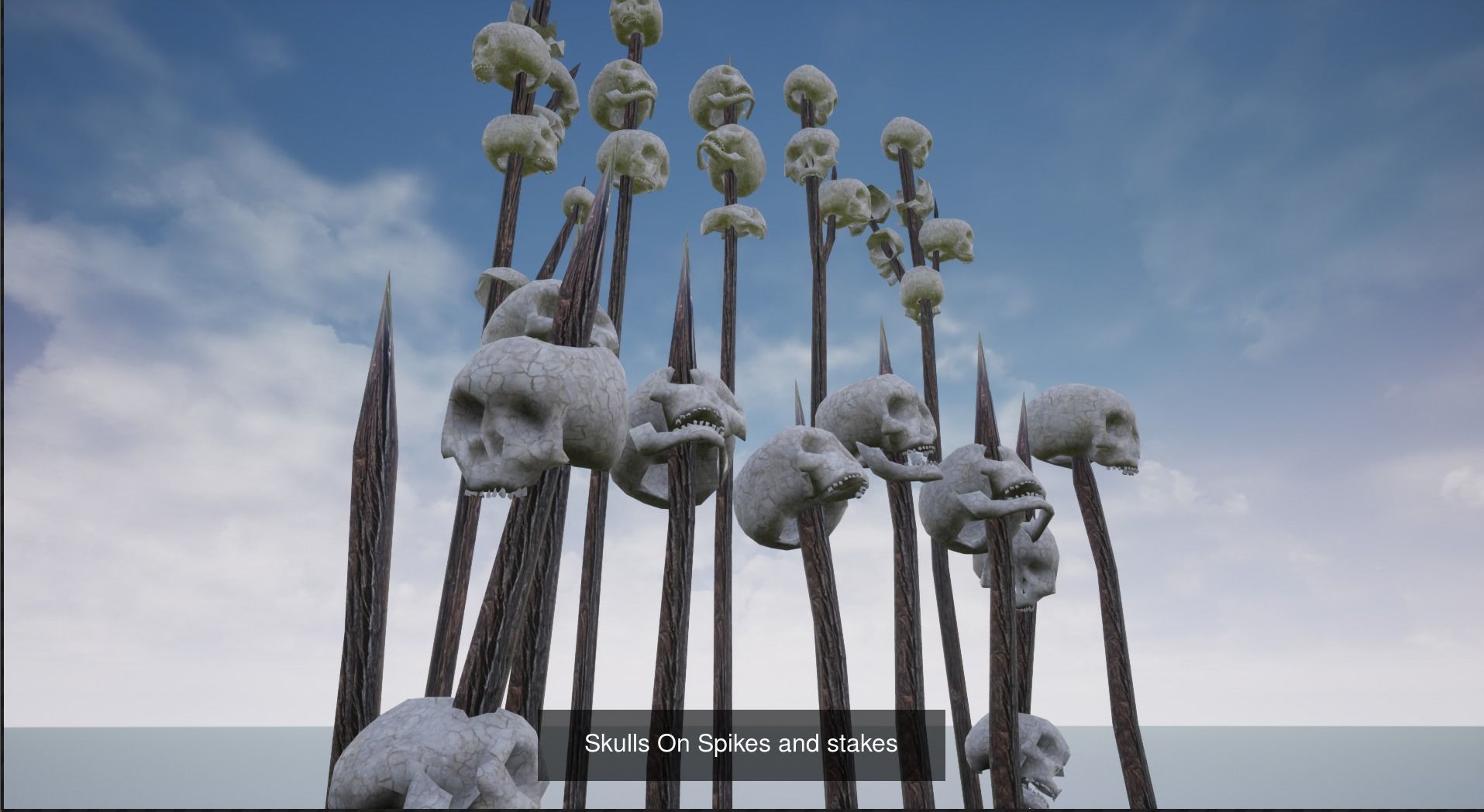 Skeleton and Skull Collection _4