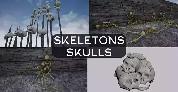 Skeleton and Skull Collection 