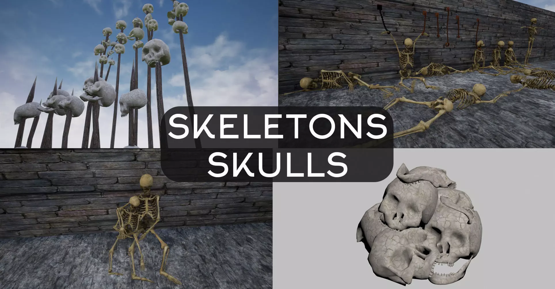 Skeleton and Skull Collection _0
