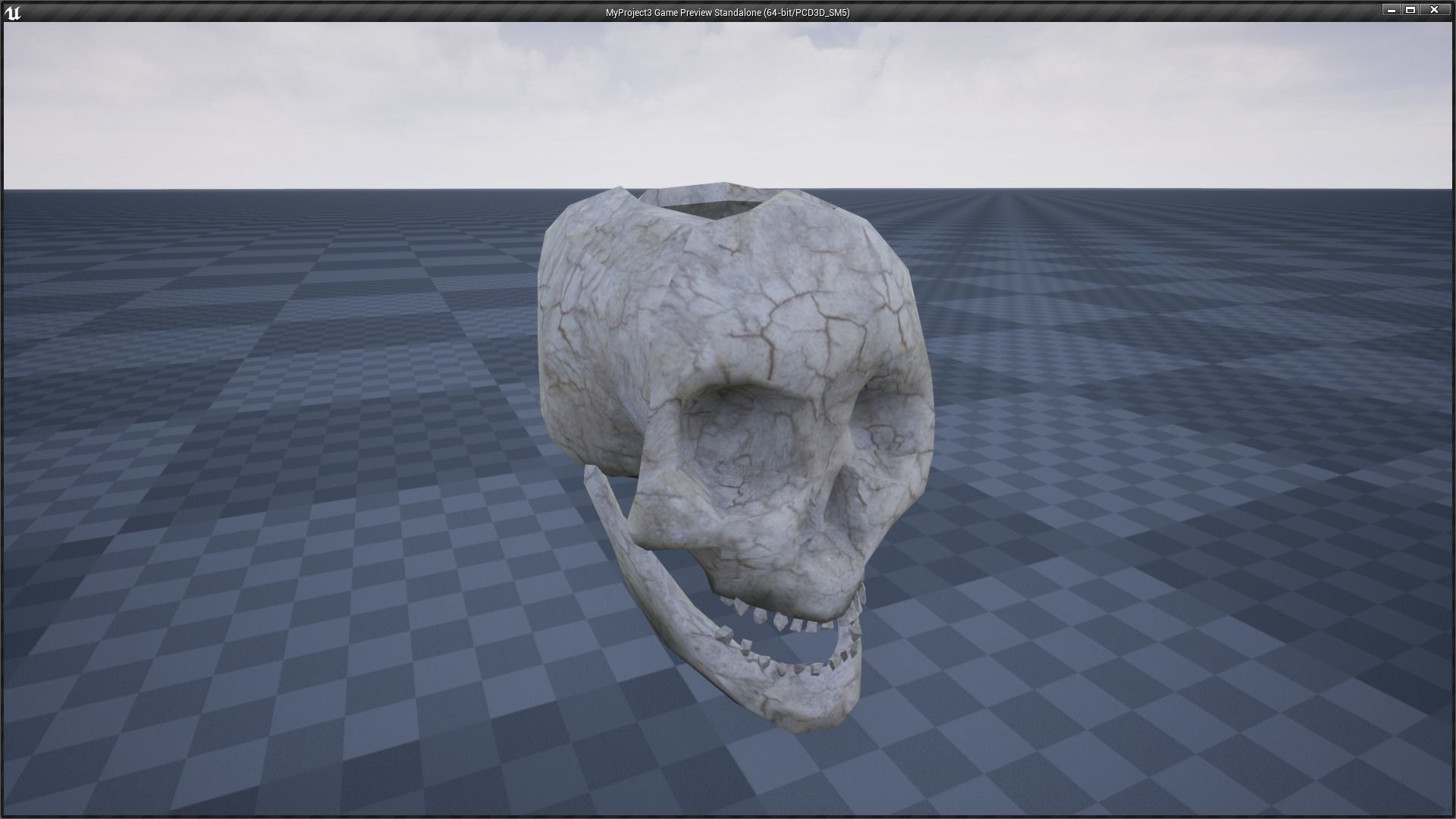 Skeleton and Skull Collection _23