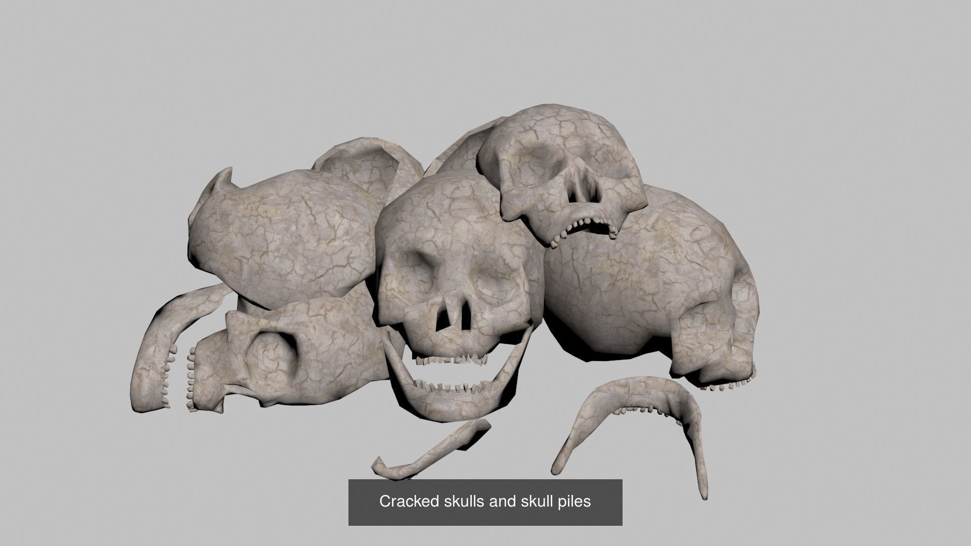 Skeleton and Skull Collection _3