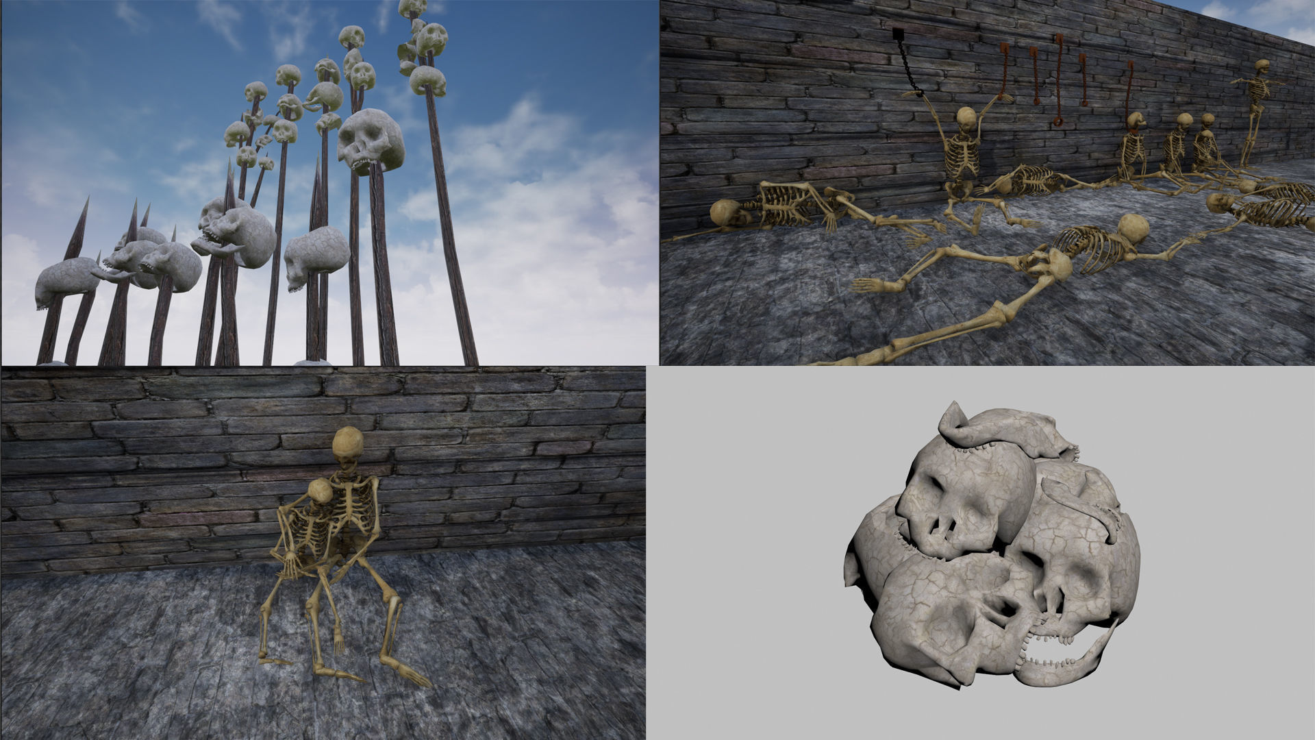 Skeleton and Skull Collection _2