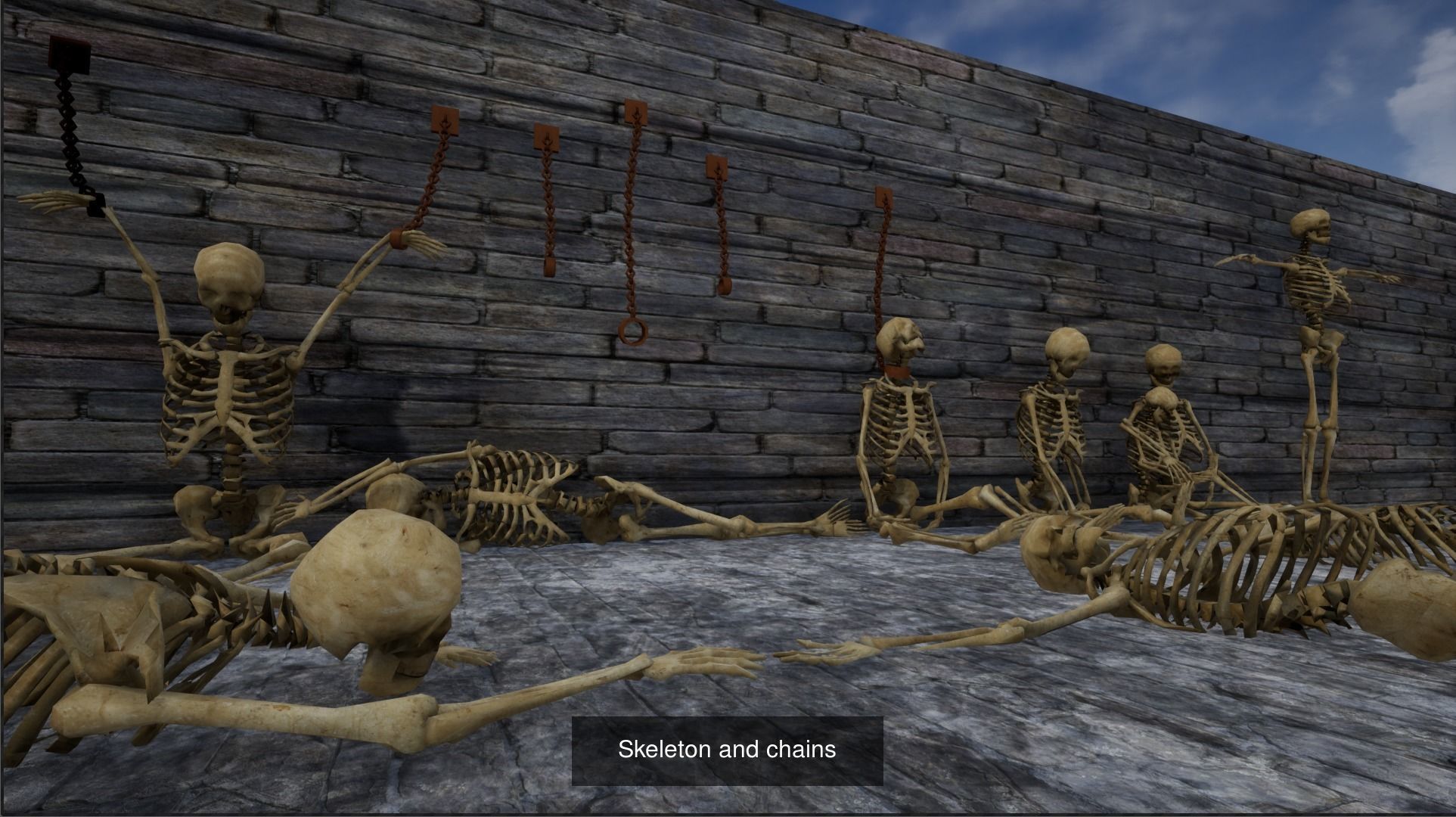 Skeleton and Skull Collection _5