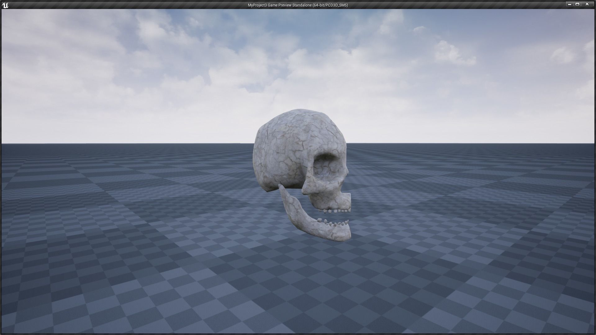 Skeleton and Skull Collection _20