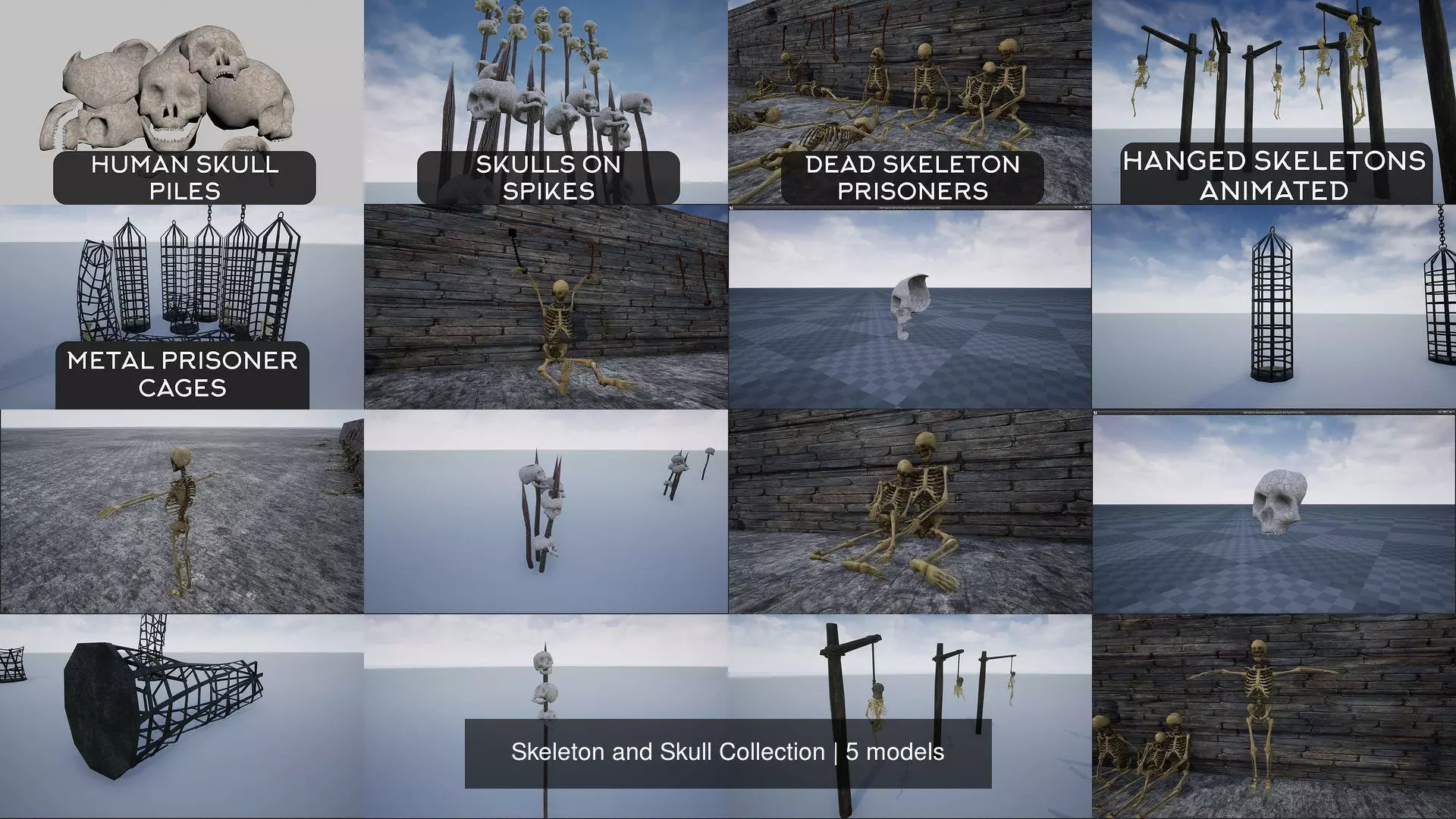 Skeleton and Skull Collection _1