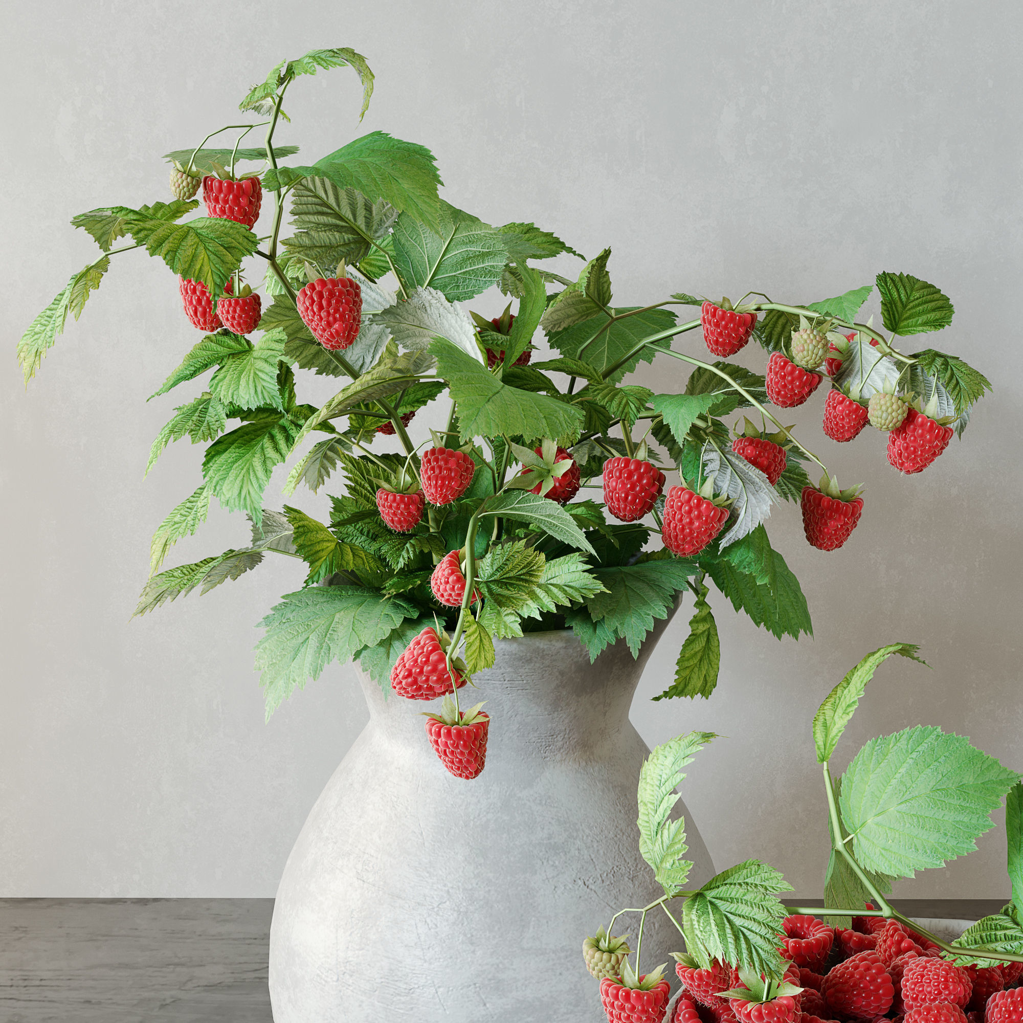 Raspberries bouquet 3D model_1