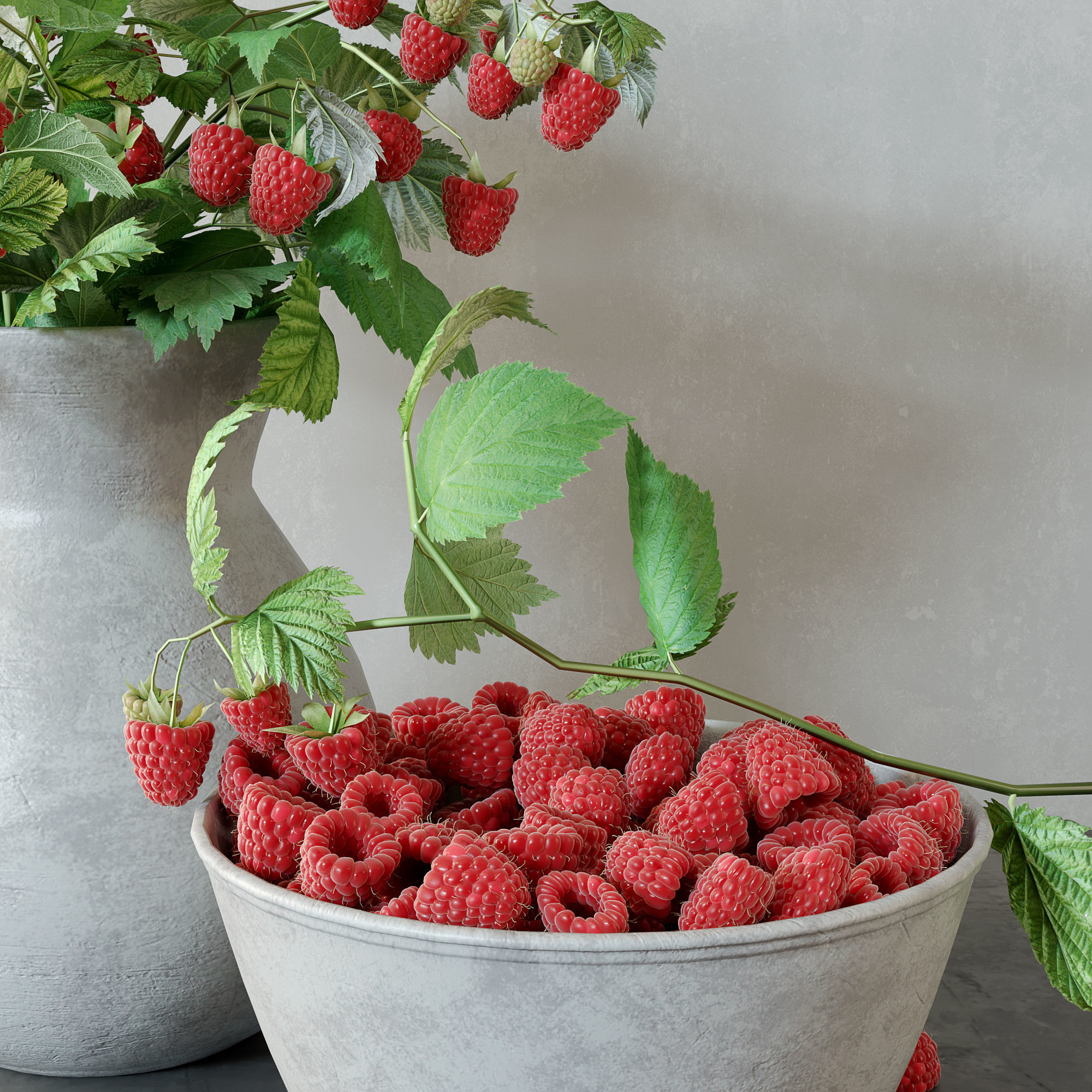 Raspberries bouquet 3D model_2