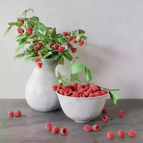 Raspberries bouquet 3D model