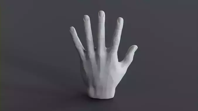3D Hand