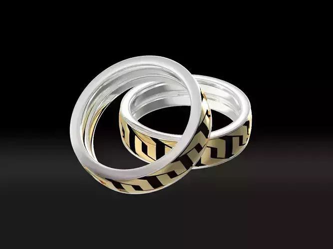 237722 two gold and silver rings