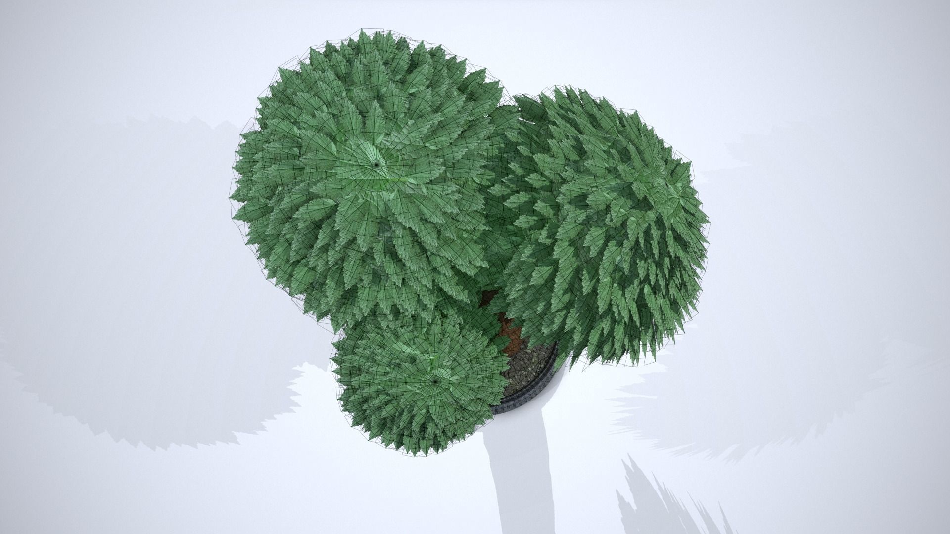 Cartoon Tree 3D model_6