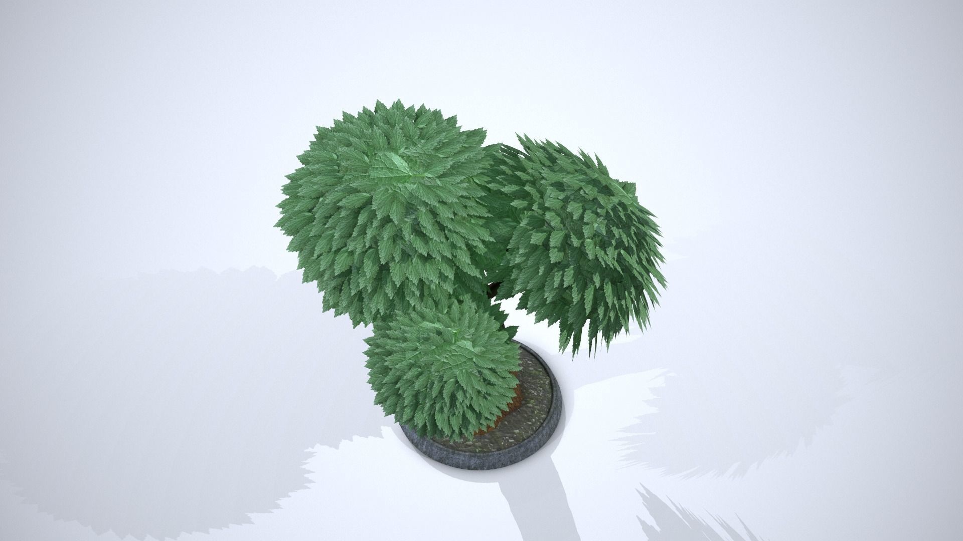 Cartoon Tree 3D model_3