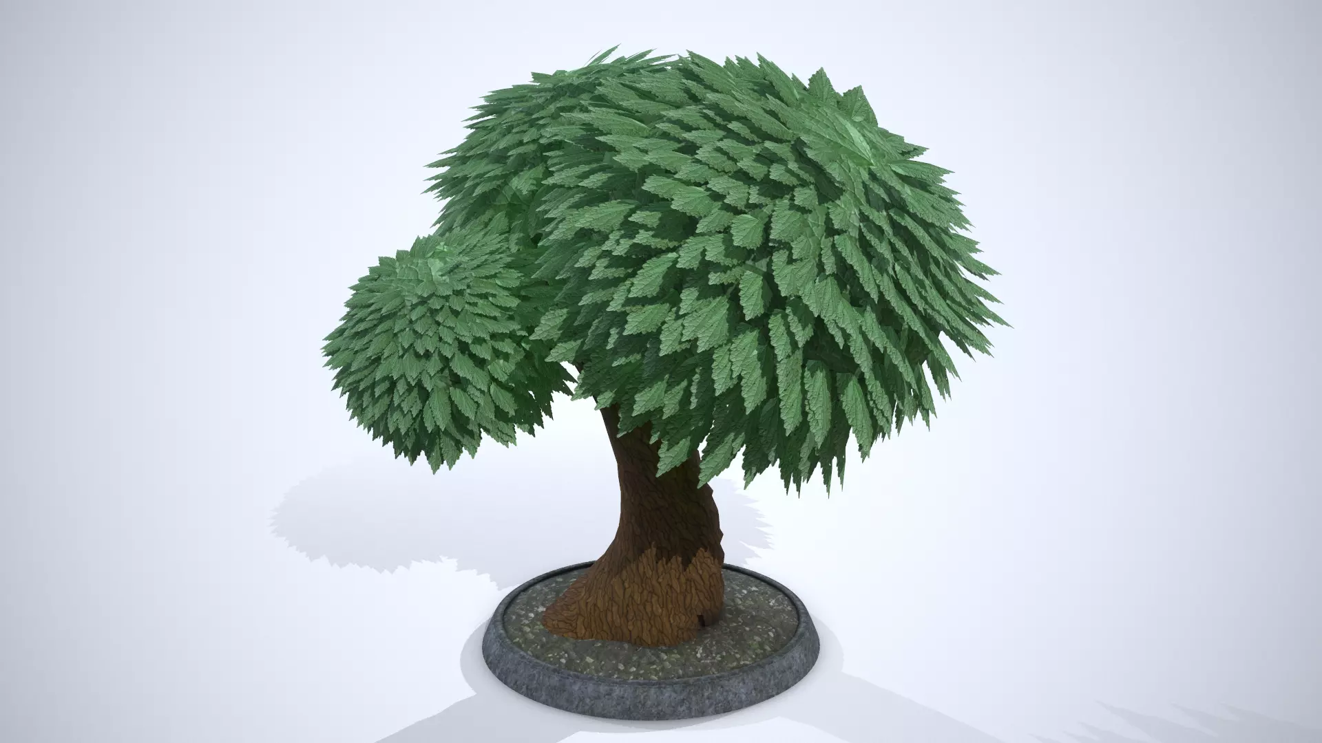 Cartoon Tree 3D model_0