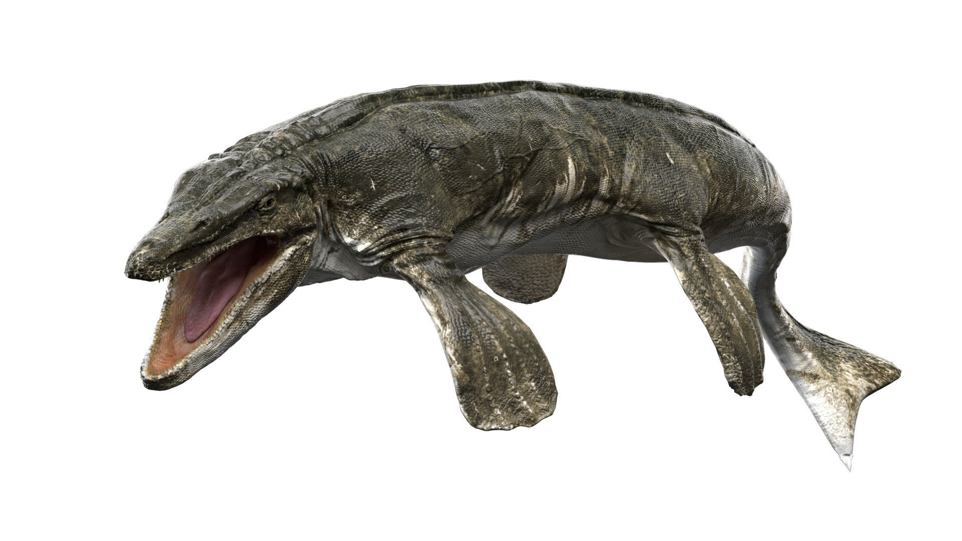 Tylosaurus 3D model Rigged Low-poly 3D model_9