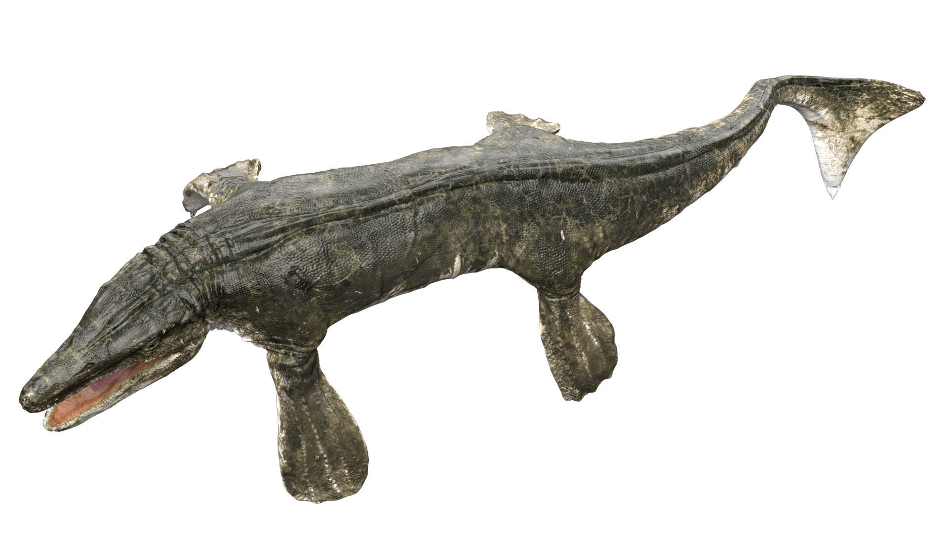 Tylosaurus 3D model Rigged Low-poly 3D model_3