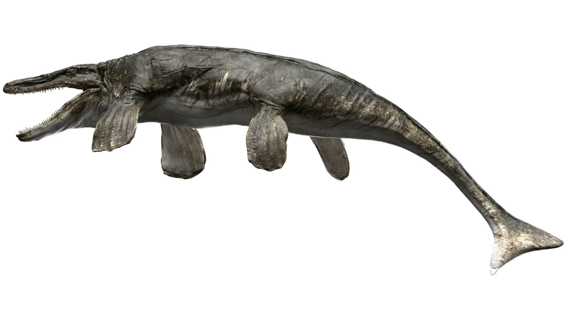 Tylosaurus 3D model Rigged Low-poly 3D model_12