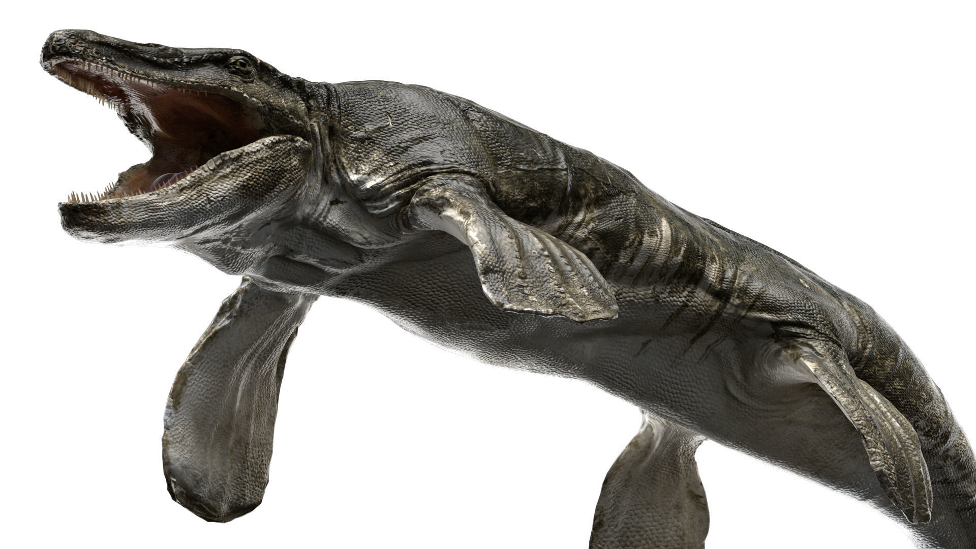 Tylosaurus 3D model Rigged Low-poly 3D model_8